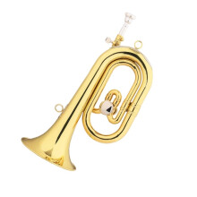 Professional Brass Trumpet C Sharp to C with Clear Sound Projection and Warm Resonant Tone