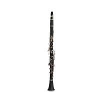 G Clarinet for Beginners 18 Key ABS with Durable Nickel Finish and Clear Rich Tone