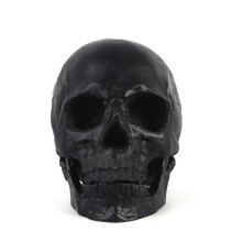 Halloween Decorations Halloween Skeleton Model Halloween Skeleton Head Human Skull Model Skeleton Collectible Figurines Human Skull Head1pcsblack