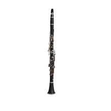 G Key ABS Clarinet 18 Keys Nickel Plated for Beginners with Clear Balanced Tone