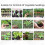 Long Handle Bulb Planter and Seedling Transplanter with Soft Grip 14CM Depth for Garden Yard 3