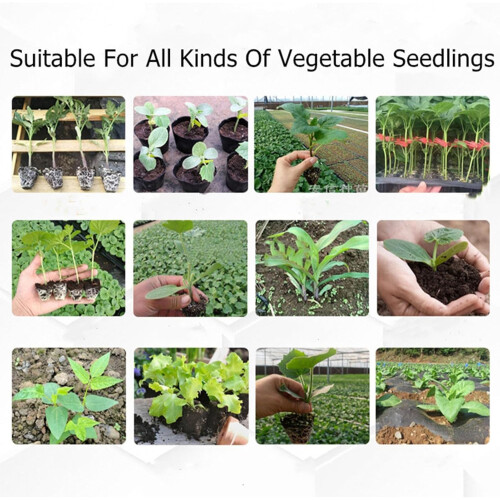 Long Handle Bulb Planter and Seedling Transplanter with Soft Grip 14CM Depth for Garden Yard 2