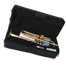 B Flat Trumpet for Beginners Gold Lacquer OnePiece Tube Brass Instrument with Warm Tone