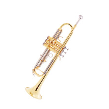 Bb Trumpet for Beginners TwoTone Brass Powerful Projection Warm Tone Durable Construction