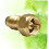 Propane Tank Refill Adapter with Brass Transfer Fitting, Automatic Cutoff, Universal Compatibility 4
