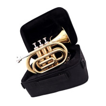 Professional B Flat Brass Trumpet with Clear Sound Projection and Warm Mellow Tone Gold