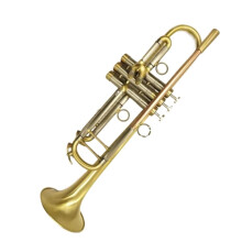 Professional Bb Brass Trumpet with Case, Bright Tone, Smooth Airflow, Ergonomic Valves