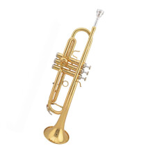 Bb Brass Trumpet for Beginners and Adults, Gold Lacquer Finish, Bright Full Tone, Smooth Response