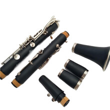 Bb Clarinet B Key 17 Keys ABS for Beginners with Detachable Design and Clear Focused Tone