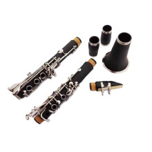 Bb Clarinet for Beginners with Nickel Keys, Durable Wood Body, Rich Clear Tone for Students