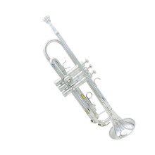Bb Trumpet Silver Brass with Case Mouthpiece Durable Build Bright Tone Beginner Kit