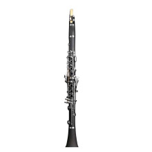 B Flat Clarinet for Beginners with Clear Rich Tone, Rosewood Finish and Canvas Bag