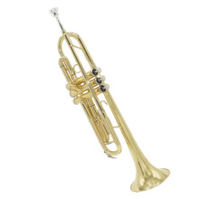 Beginner Bb Trumpet Gold Lacquer Warm Full Tone Durable Brass Build for Student Practice