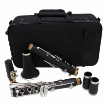 Professional Bb Clarinet 17 Key B Flat Instrument with Case, Warm Tone for All Skill Levels