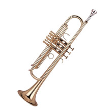 Professional Brass B Flat Trumpet for Beginners with Clear Tone Projection and Consistent Valve Action