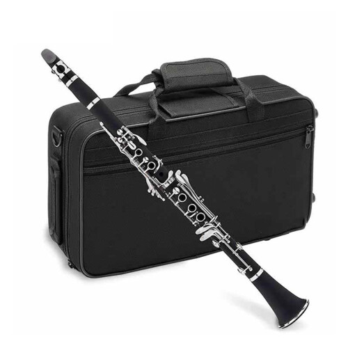 Professional Bb Clarinet Solid Wood with Silver Plated Keys for Beginners and Advanced Players