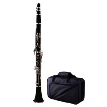 Professional B Flat Clarinet with Rich Clear Tone and Durable Nickel Finish for Beginners