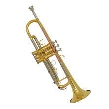 B Flat Trumpet for Beginners with Warm Clear Tone, Durable Brass Construction and Responsive Playability