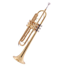 Professional B Flat Brass Trumpet with Versatile Tone Range and Durable Gold Lacquer Finish