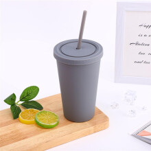 Reusable Water Bottle with Straw BPA Plastic Cup for Sports Travel and Birthday Gifts Gray