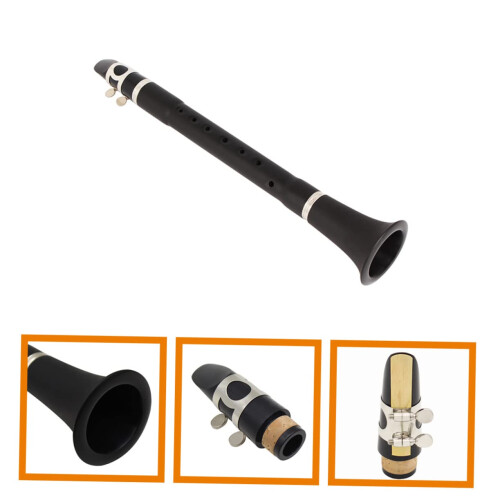 Mini Clarinet for Beginners with Clear Powerful Sound, Compact Design, Ideal for Student Practice 2