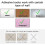 Magic Gate for Dogs, Portable Folding Stair Safe Guard, 75*180cm 2