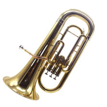 B Flat Euphonium Brass Instrument for Beginners and Professionals with Carrying Case, Smooth Valves