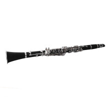 Professional Bb Clarinet with Case Mouthpiece and Accessories, Durable Ni Plated Keys