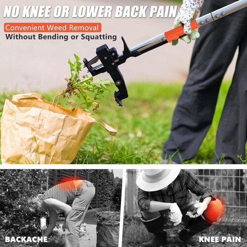 Stand Up Weed Puller with 4 Stainless Steel Claws, Adjustable Ergonomic Handle, NoBend Lawn Tool 1
