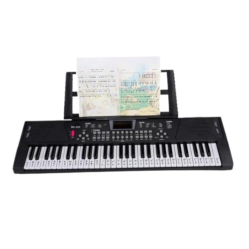 61 Key Electronic Keyboard with Stand, Multiple Timbres and Rhythms, Recording and Playback Functions