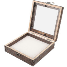 Vitrina de exhibición de especímenes de insectos: caja de madera para entomología,