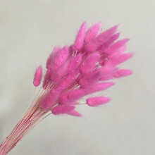 Pampas Grass 50Pcs 45cm Fluffy Dried Flower Bouquet for Bohemian Wedding and Rustic Home Decor