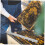 2pcs Beehive Frame Spacers Set for Beekeeping Supplies, Easy Frame Management, Durable Design 4