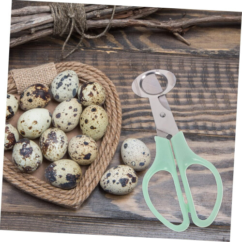 Stainless Steel Eggshell Scissors Quail Egg Opener Tool with Ergonomic Grip for Precise Cutting 1