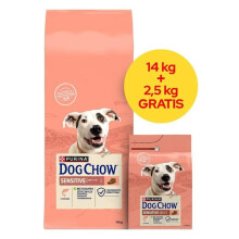 PURINA DOG CHOW SENSITIVE Salmone 14 2,5 kg