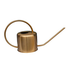 Stainless Steel Watering Can with Long Spout for Indoor Plants and Succulents Gold Durable