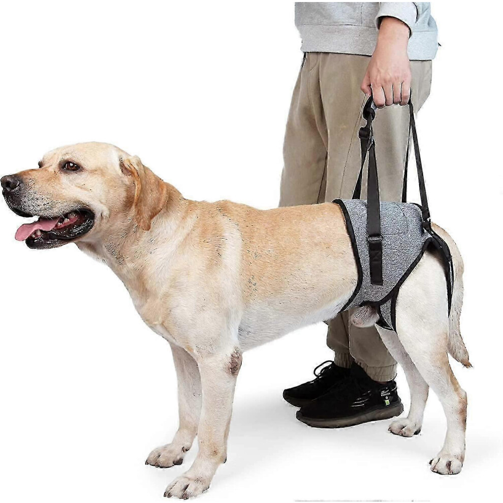 Dog Sling For Large Dogs Hind Leg Support To Help Rehabilitate The Hind Limbs Of Elderly Dogs With Weak Hind Legs Disabilities TY