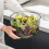 Große Kapazität Transparenter Salatschleuder, PP-Material, 21,6 cm 6