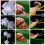 2in Screen 2MP 1080P Handheld Microscope Camera, 100X with LED 4