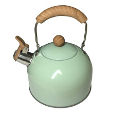 Stovetop Whistling Kettle Stainless Steel Mint Green Tea Pot with CoolTouch Handle for Induction