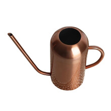 Stainless Steel Watering Can with Long Spout for Indoor Plants Ergonomic Handle Bronze