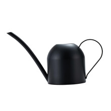 Stainless Steel Watering Can with Long Spout for Indoor Plants, Ergonomic Grip, Retro Design