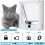 Lockable Pet Door 4 Way Locking Small Medium Large Dog Cat Flap White Frame 5