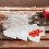 Christmas Tree Serving Platter with Sections for Candy Fruit Snacks, Festive Durable White Tray 5