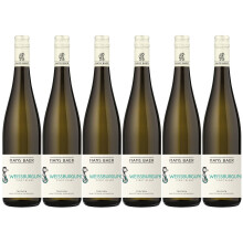 Hans baer - Pinot Blanc - German dry white wine - Rheinhessen, Germany (6 x 0.75 L)