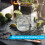 Shield Limescale Remover ~ 12 x 1 Litre 4