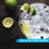 Shield Limescale Remover ~ 12 x 1 Litre 3