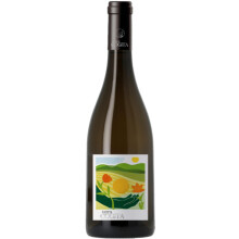 Les Domaines Robert Vic Terra Cogita Soreli White Wine, Vin de France Languedoc, 75cl ? Pear & White-Flower Aromas, Smooth, Fresh & Balanced ? Serve