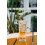 Keo Cypriot Lager (12 x 630ml Bottles) 2
