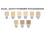 Dual Active Powder Foundation Cream Beige, Wet or Dry Matte Formula with Adjustable Coverage 2